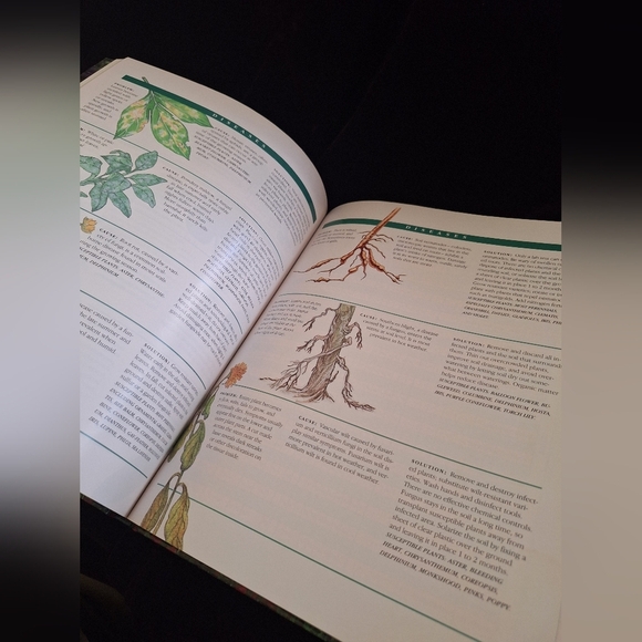 Time Life Book on Perennials - Picture 2 of 9